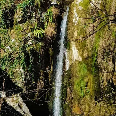 Ca' Rosa Διαμέρισμα Τρέντο