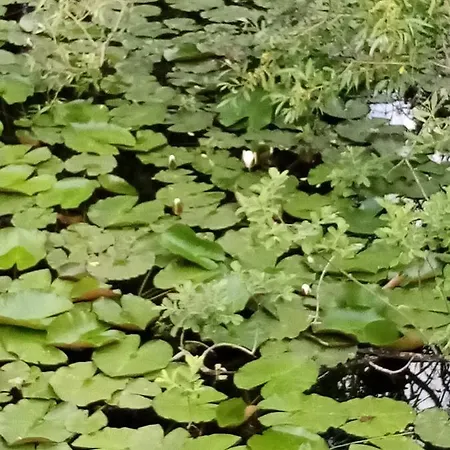 Appartamento Ca' Rosa