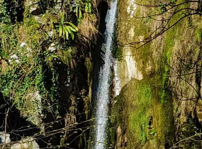 Ca' Rosa Appartement Trente